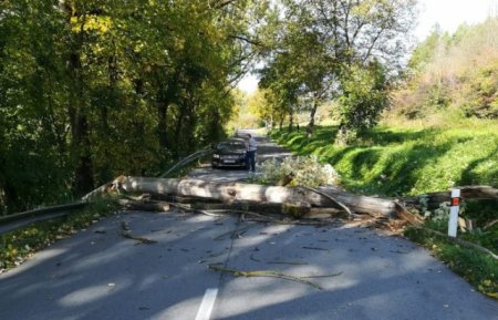 Ураган в сусідній із Закарпаттям Словаччині: є жертви (ФОТО)