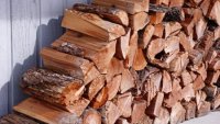 Лісівники Закарпаття оприлюднили ціни на дрова-2019 (ІНФОГРАФІКА)