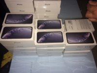 Закарпатські митники виявили 229 товарів торгової марки «Apple»
