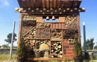 В Ужгороді для птахів створили дизайнерський «ресторан» (ВІДЕО)