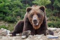 НПП "Синевир" святкує вже 30 років (ФОТО)
