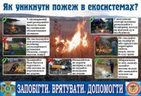 За вихідні на Закарпатті сталося 32 пожежі в екосистемах