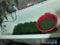 На Рахівщині поліція вилучила 8 кг коноплі (ФОТО)