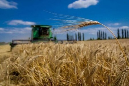 Продаж землі іноземцям хочуть відкласти на п'ять років