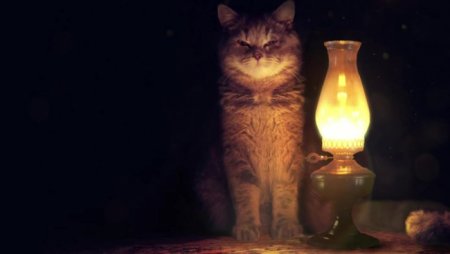 Коли не буде світла саме у вас: графік планового відключення електроенергії на Закарпатті
