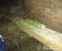 Поліцейські Мукачівщини від неповнолітнього жителя району вилучили марихуану
