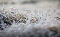 Закарпатців попередили про заморозки: 0-5° майже по всій території області