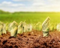 До закону про купівлю землі готують зміни