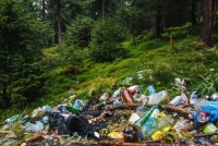 У закарпатських лісах і річках сміття не меншає