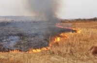 Спалення сухостою наЗакарпатті:шкідливі викиди та пошкоджена екосистема
