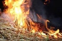 40 тон сіна згоріло на Рахівщині