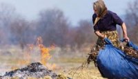 В уряді придумали, як боротися з паліями сухого листя