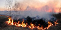 На Закарпатті висока пожежна небезпека
