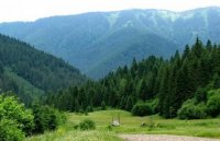Сувеніри які найбільше нагадують про Закарпаття