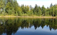 На Закарпатті є “Дике озеро”, яке майже не бачить туристів (Фото)