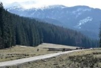 Уряд України затвердив програму розвитку Карпат