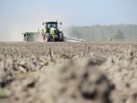У Мукачеві аграрії говорили про хід посіву озимих зернових під урожай 2020 року