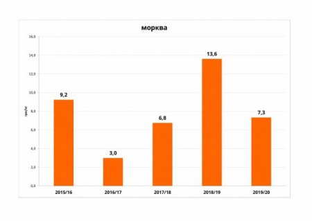 Овочі борщового набору подешевшали вперше за 4 роки