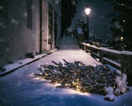 Стали відомі штрафи за незаконно зрубану ялинку