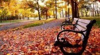 В Україну йде потепління, ще буде +20º
