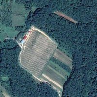 У лісі на Закарпатті виявили незареєстровану злітну смугу для літаків (ФОТО)