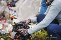 Активісти прибрали сміття в Карпатах, де порпалося ведмежа