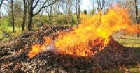 Дим від спалювання листя викликає серцеві напади