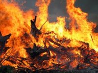 Управління ДСНС України у Закарпатській області інформує