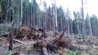 Жах! Туристи, які їхали до витоку річки Чорна Тиса в шоці (фото)