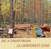 Держлісагентство: До пілотного проекту «Ліс у смартфоні» підключено й Закарпатську область