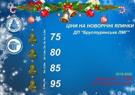 Новорічні ялинки на Закарпатті коштуватимуть від 40 до 90 грн за погонний метр