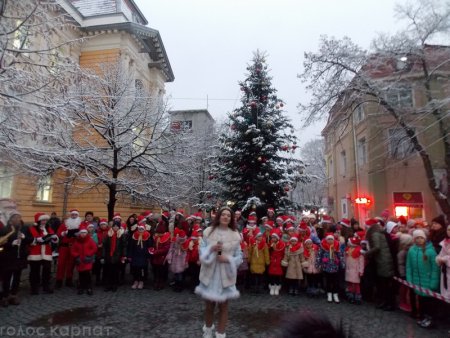 У Берегові урочисто відкрили новорічну ялинку (ФОТО)