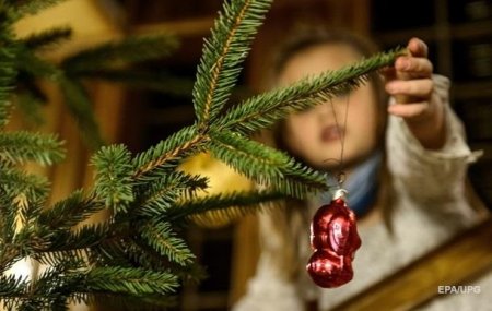 Перевірити легальність новорічних ялинок можна буде в мобільному додатку