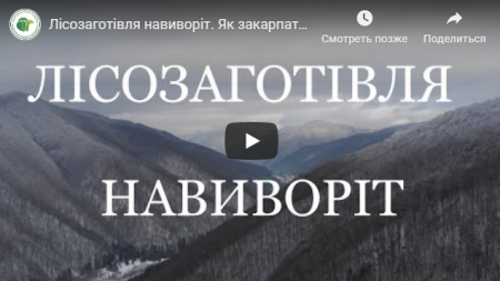 Як закарпатські лісівники займаються заготівлею деревини (ВІДЕО)