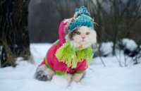 Морози до -21°: в Україну йде сувора зима – синоптик