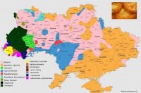 Ми й тут вирізнилися! Закарпаття має найбільшу кількість назв для дерунів, кремзликів