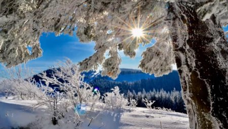 Засніжена Воловеччина просто вражає (ФОТО)
