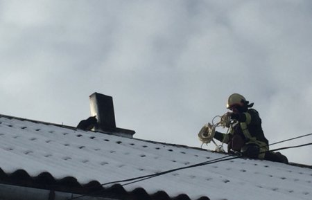 На Закарпатті рятувальники провели надважливу місію із порятунку чотирилапого