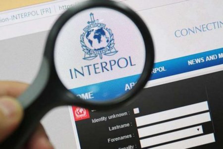 Спрацювала база Інтерполу: на Закарпатті затримали угорця, якого розшукують в Чехії