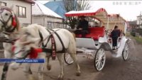 На Закарпатті чоловік змайстрував карету і їздить нею селом