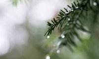 Грудень увійде в історію